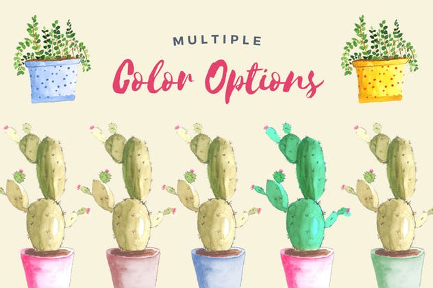 多肉植物手绘水彩插画合集 Watercolor Succulent Collection插图(2)