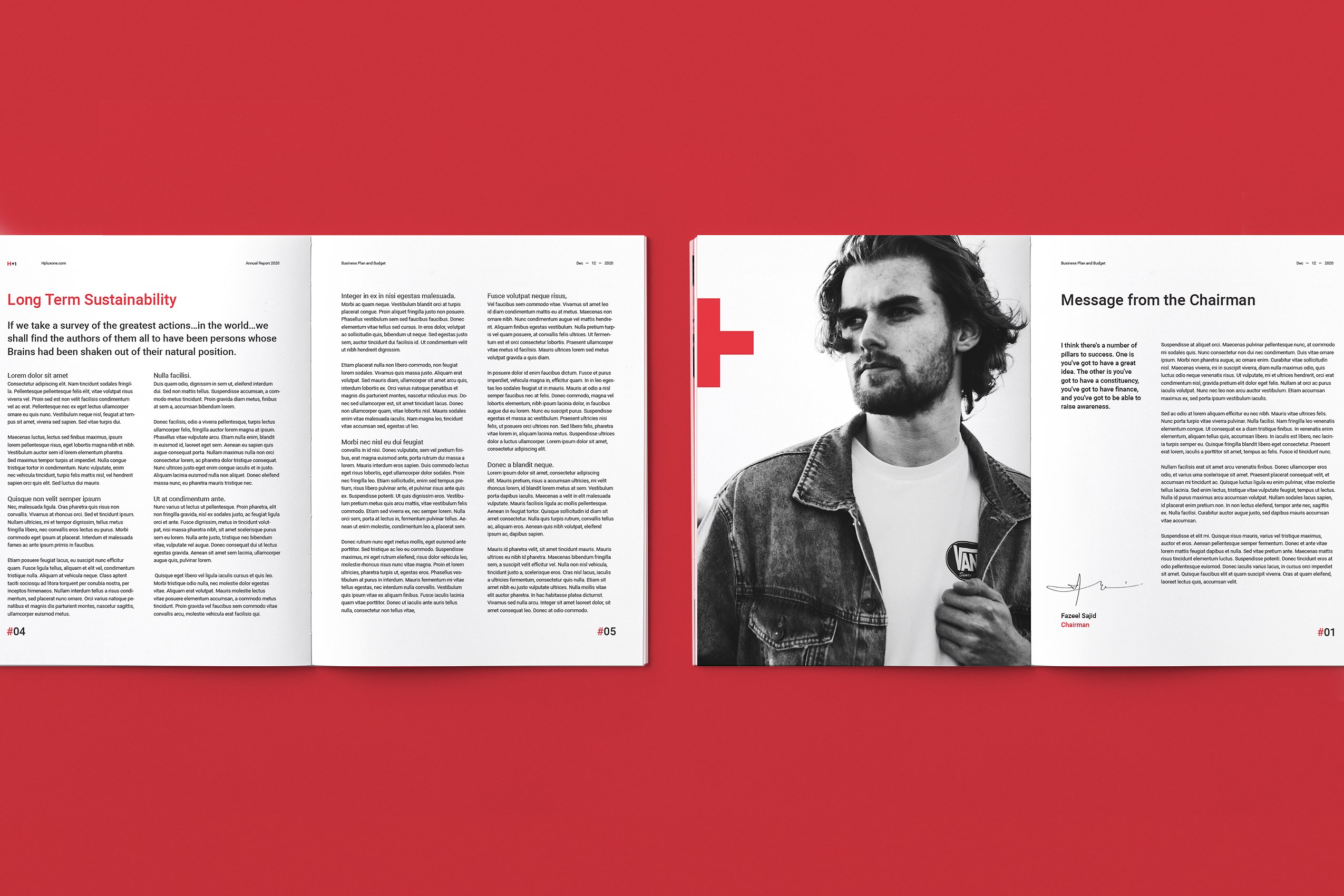 36页专业极简的年度总结杂志模板下载 Annual Reports [indd]插图(4)