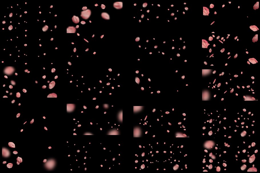 5K高清分辨率花瓣叠层覆盖层素材 5K Petals Overlays插图(3)