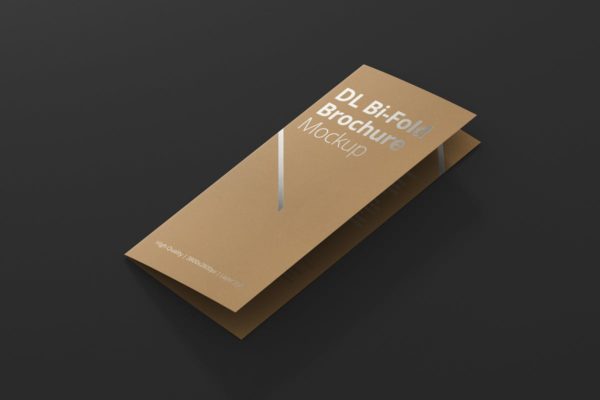对折折页宣传小册样机 DL Bi-Fold Brochure Mock-Up