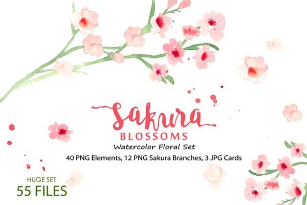 水彩樱花花卉插画素材合集 Sakura Blossoms – Watercolor Clipart