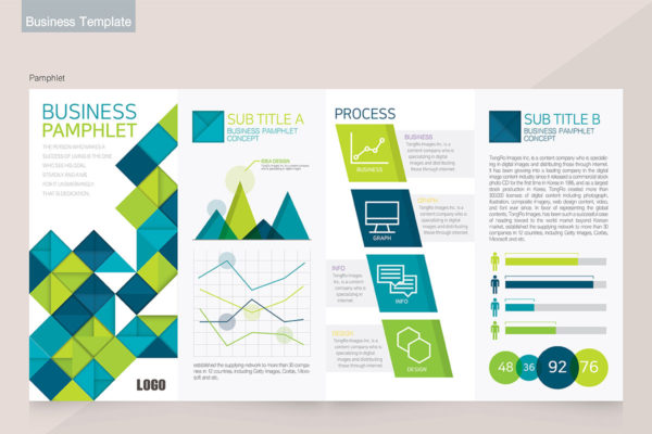 极简现代信息图表市场数据分析商业手册模板