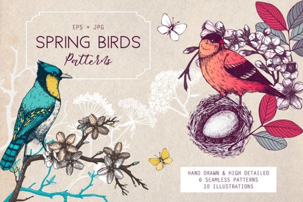 春季手绘小鸟自然元素 Hand Drawn Spring Birds Patterns