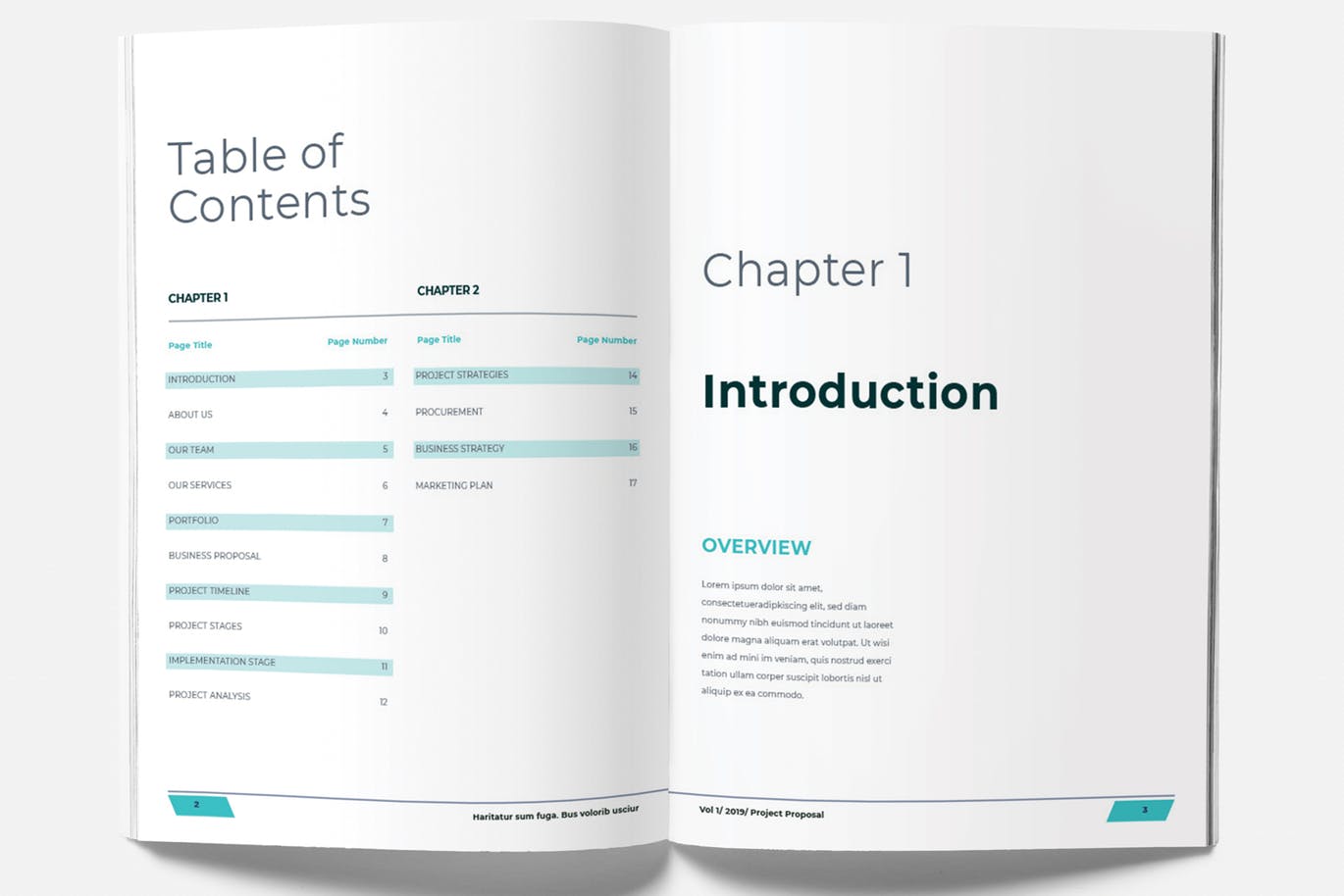 项目提案/项目规划书设计模板 Bussiness Proposal插图(2)