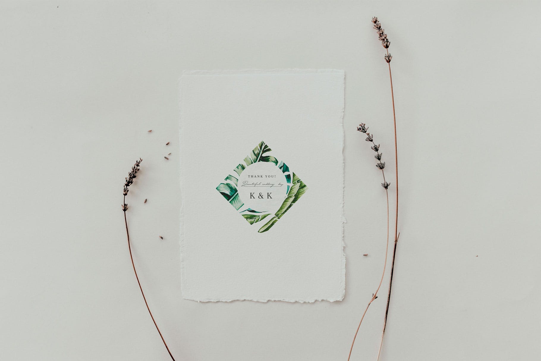 热带植物水彩手绘图案设计素材套装 Tropics & Coral Watercolor Set插图(1)