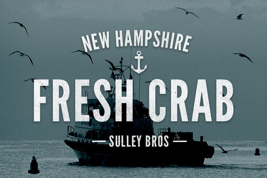 复古徽标系列英文logo设计模板 Vintage Logo Collection MegaBundle插图(1)