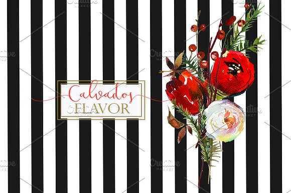 冬季红色水彩花卉剪贴画合集 Red Winter Flowers Clipart Set插图(14)