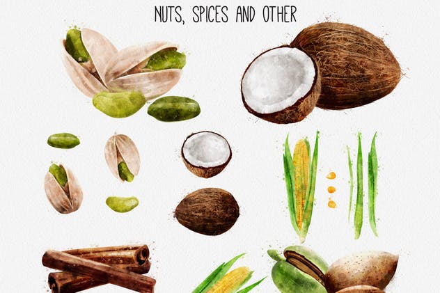 水彩水果&蔬菜插画合集 Watercolor Fruits And Vegetables插图(10)