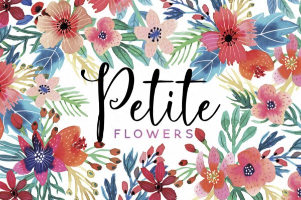 娇艳花卉水彩插画合集 Petite Flowers Watercolor Collection