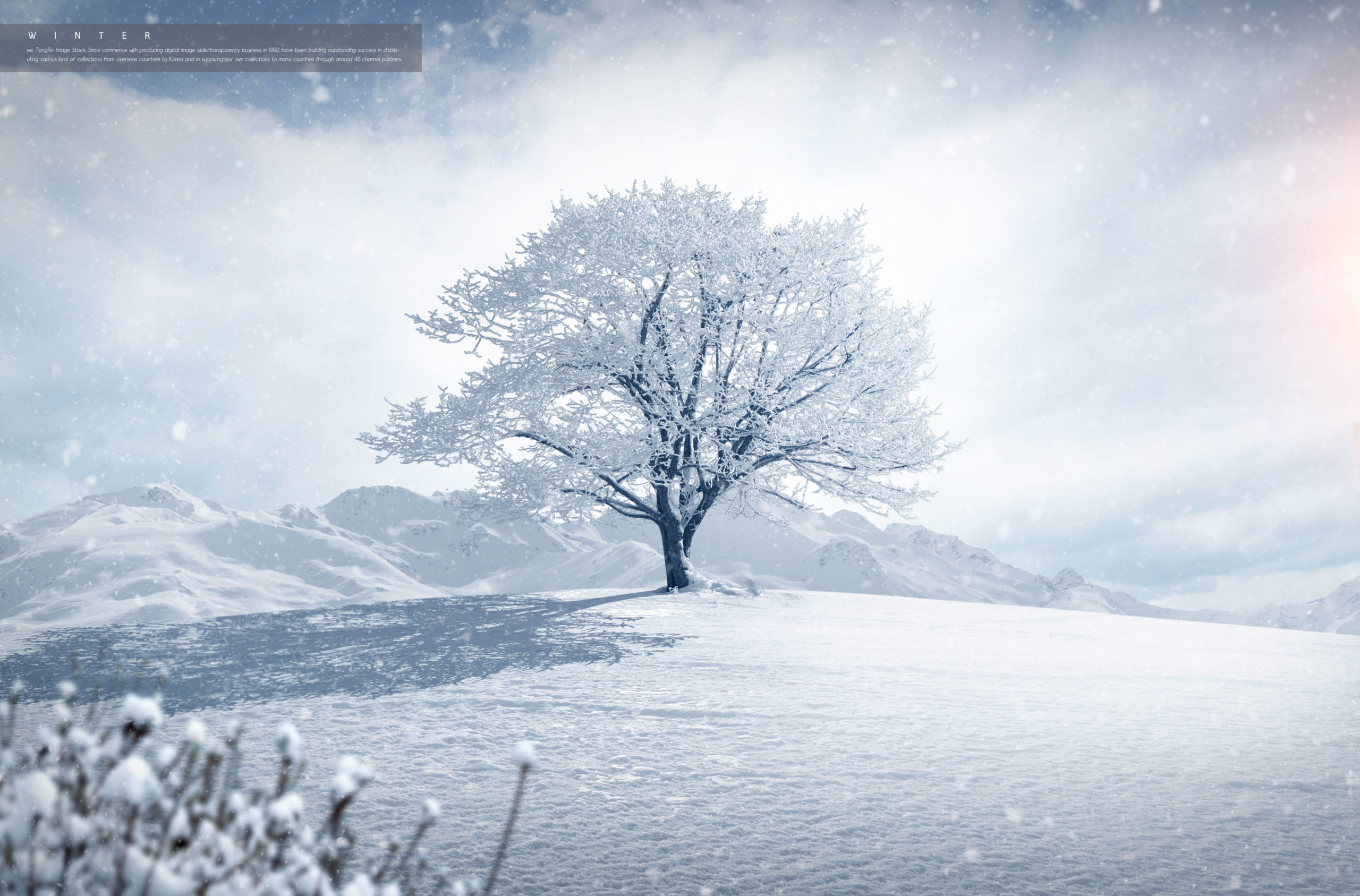 冬季雪景背景图片psd素材合集插图(6)