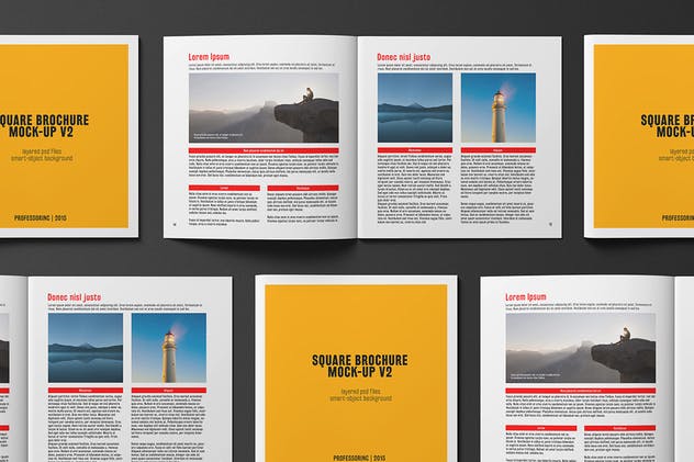 画册目录手册样机模板 Square Brochure / Catalogue Mock-Up插图(4)