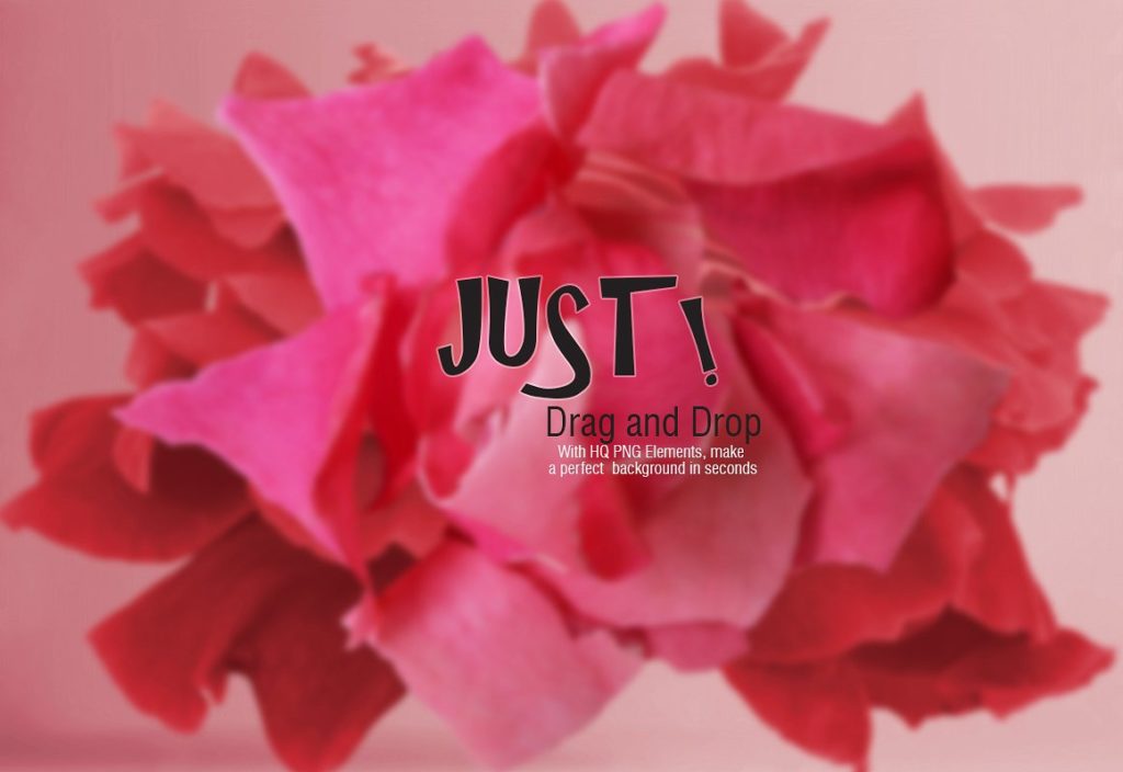 浪漫爱情(情人节)玫瑰花素材大合集1.6G[psd,eps,png]插图(14)