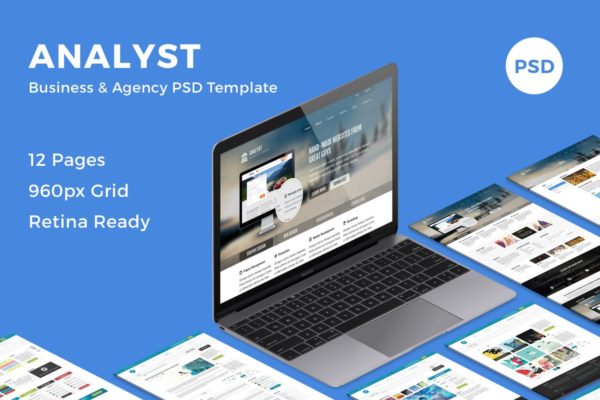 多用途商业网站设计PSD模板 Analyst – Business &amp; Agency PSD Template