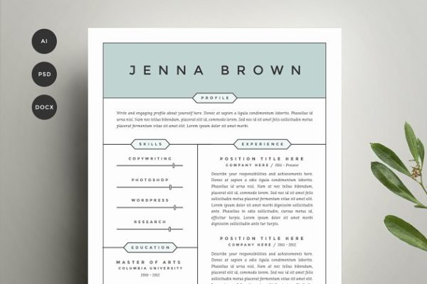 两列式经典简历模板 Resume Template 4 Pack | CV Template