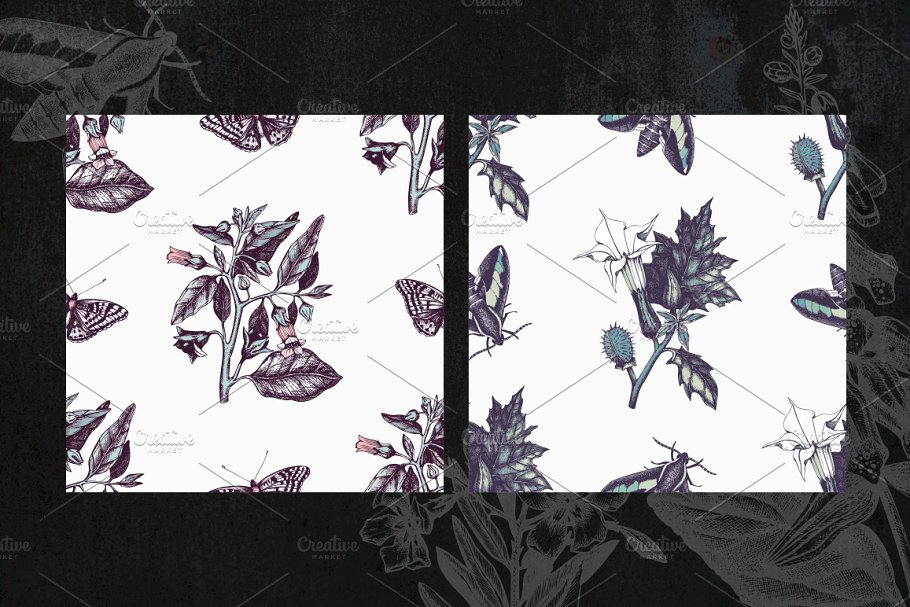 无缝有毒植物蝴蝶图案纹理 Poisonous Plants & Flowers Patterns插图(3)