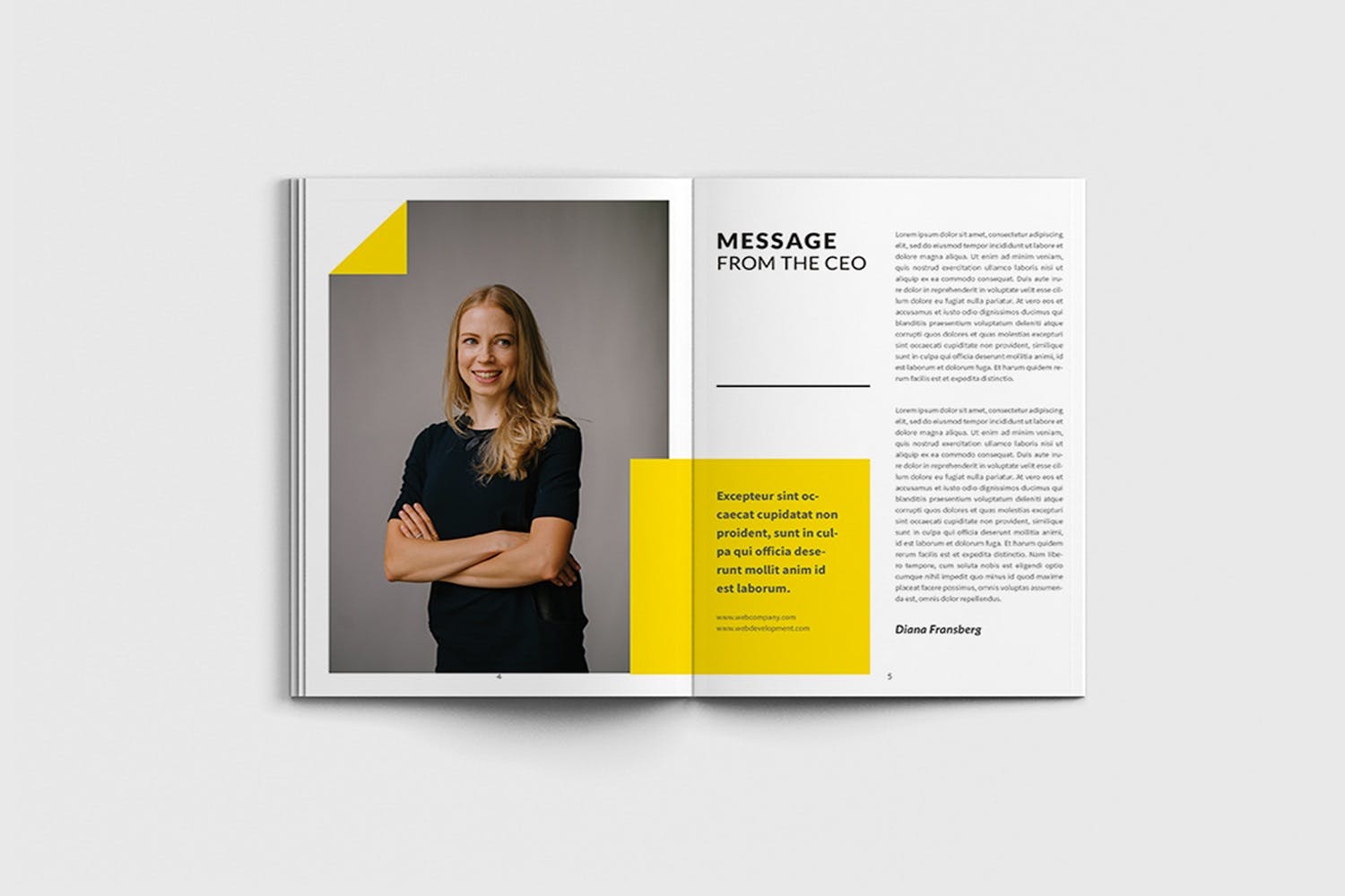 网站规划书/解决方案设计模板 Webvice – A4 Web Proposal Template插图(2)