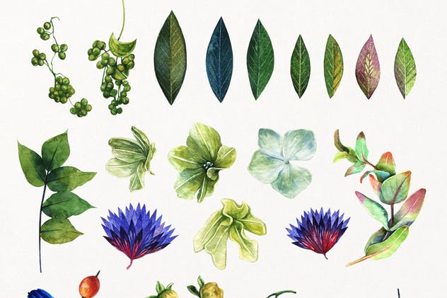 多元素魔法水彩插图套装 Enchanted Watercolor Kit插图(2)