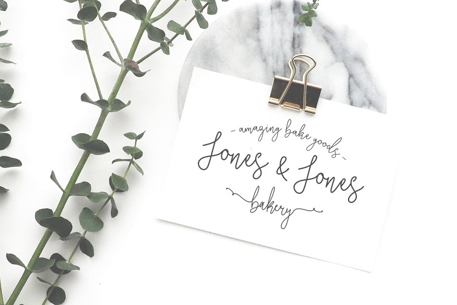 13款手写英文字体合集&Logo模板、矢量插画 Wonderland Fonts Pack & Branding Kit插图(66)