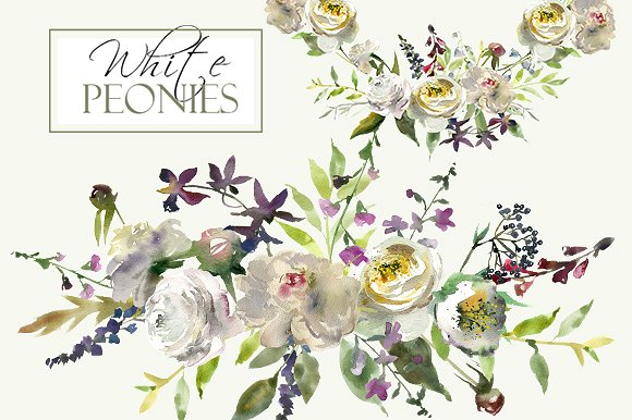 白色水彩花卉剪贴画 Watercolor White Flowers Clipart插图(1)