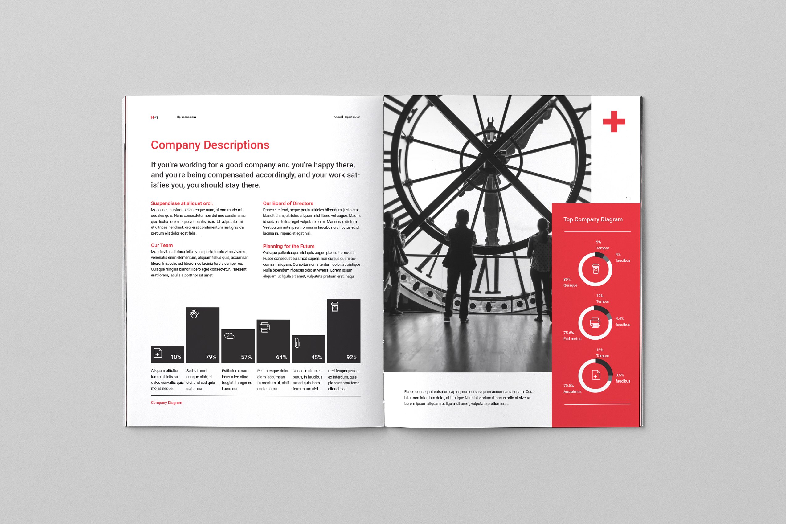 36页专业极简的年度总结杂志模板下载 Annual Reports [indd]插图(3)