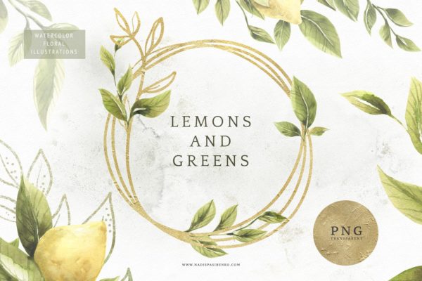 柠檬&amp;绿色枝叶水彩插画 Lemons &amp; Greens