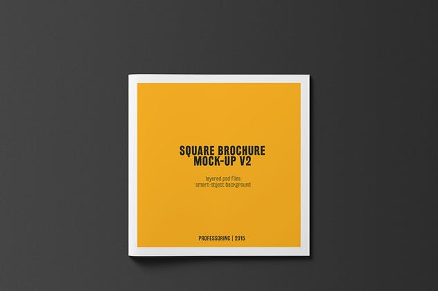 画册目录手册样机模板 Square Brochure / Catalogue Mock-Up插图(2)