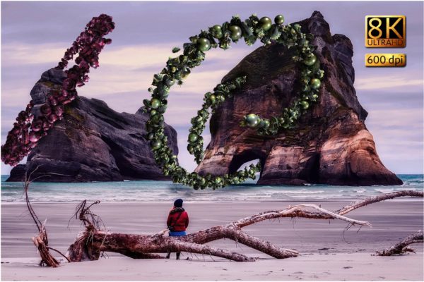 8K高分辨率创意珍珠和刺猬状装饰叠层背景 Hedgehogs &amp; Pearls