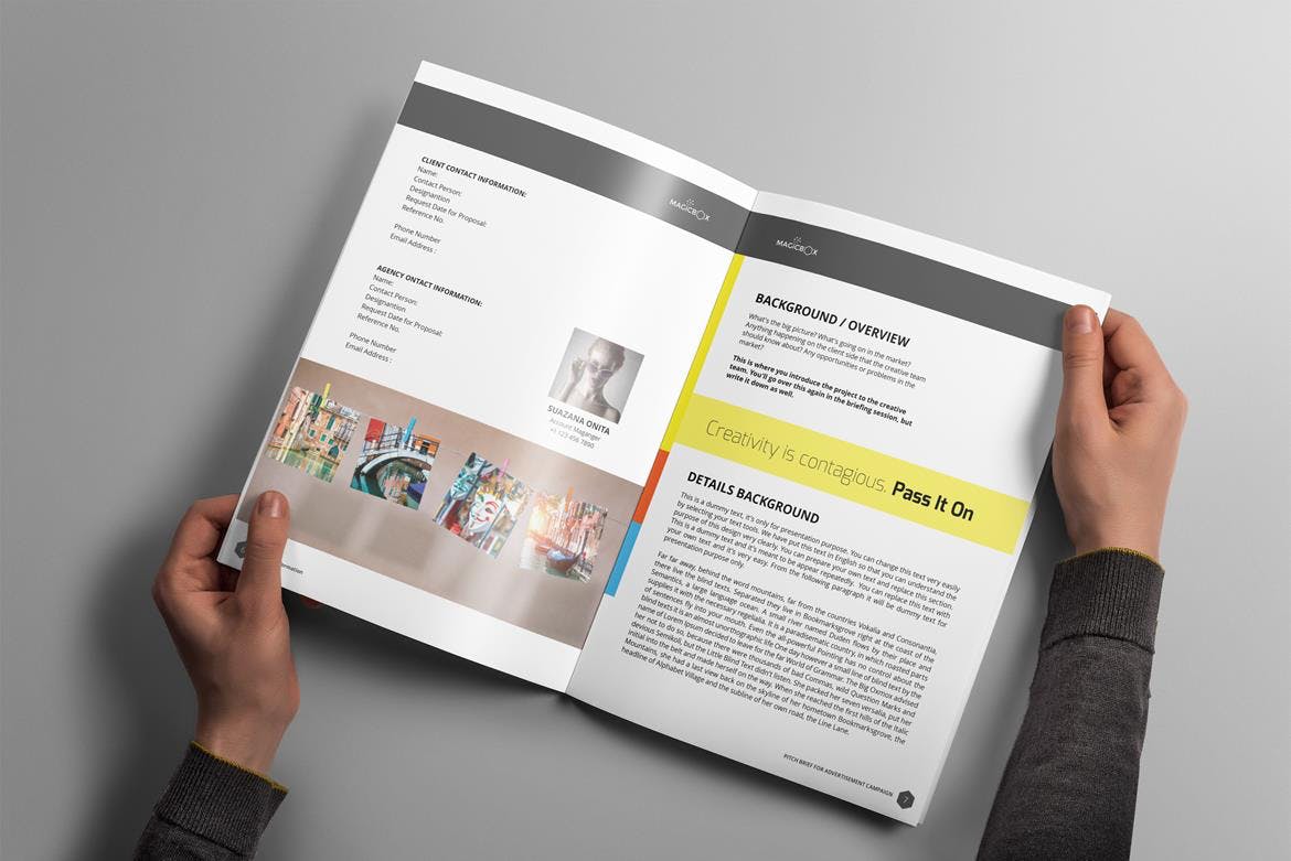 适用于企业画册/营销计划书设计模板 Proposal插图(3)