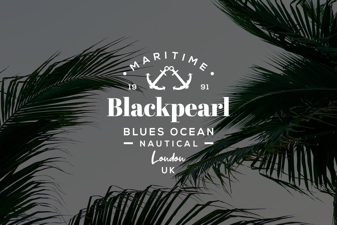 欧美复古设计风格品牌素材库精选LOGO商标模板v29 Vintage Logo & Badge Vol. 29插图(3)