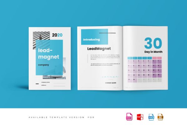 2020日程本每日计划本效率手册设计模板 Lead Magnet Workbook Template