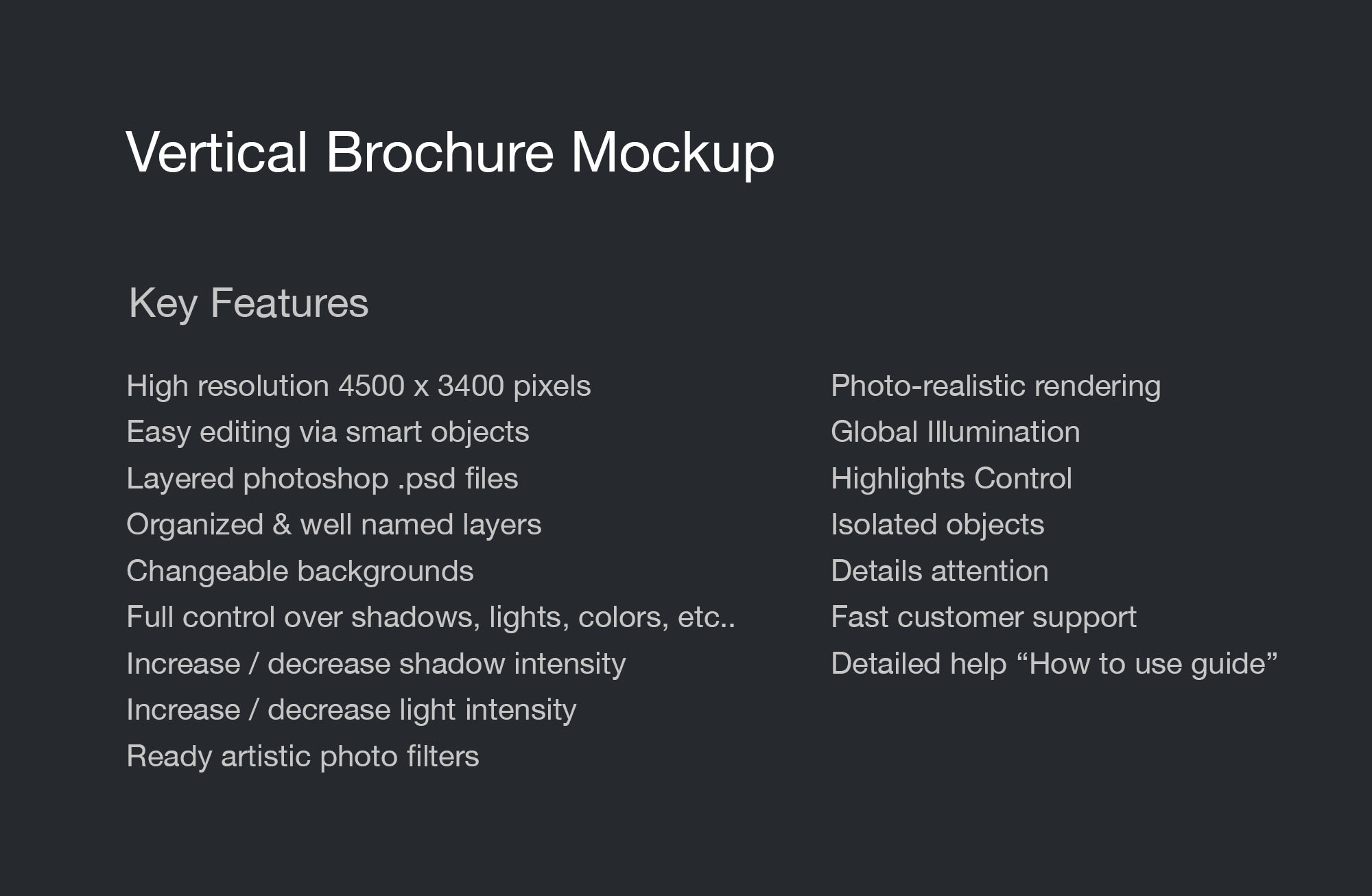 纵向规格企业宣传广告小册子样机插图(2)