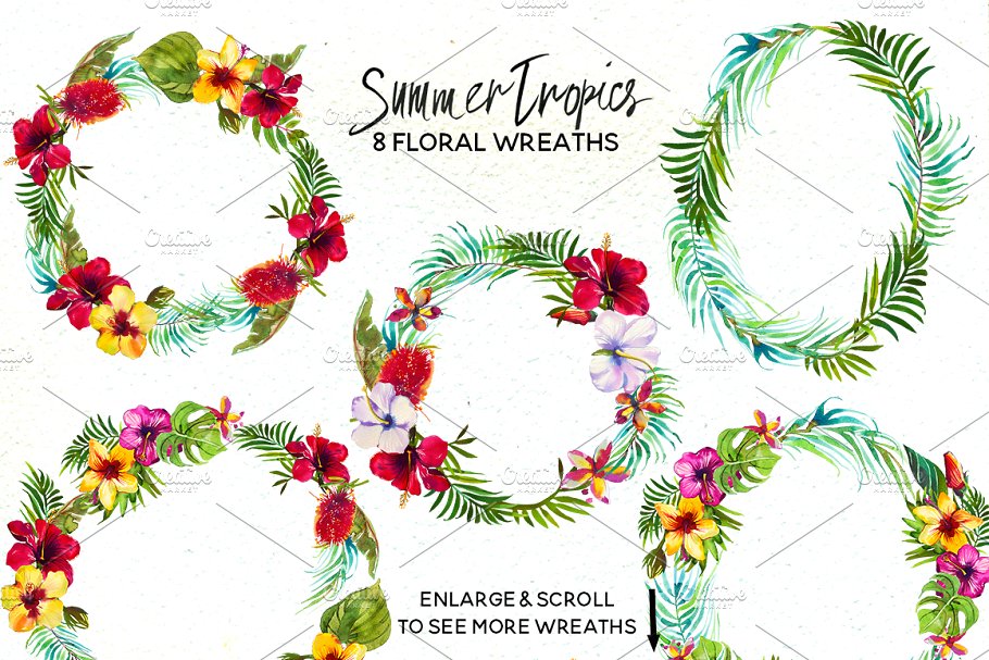 热带水彩花卉超级素材包[1.92GB] Tropic Watercolor Flowers & Animals插图(2)