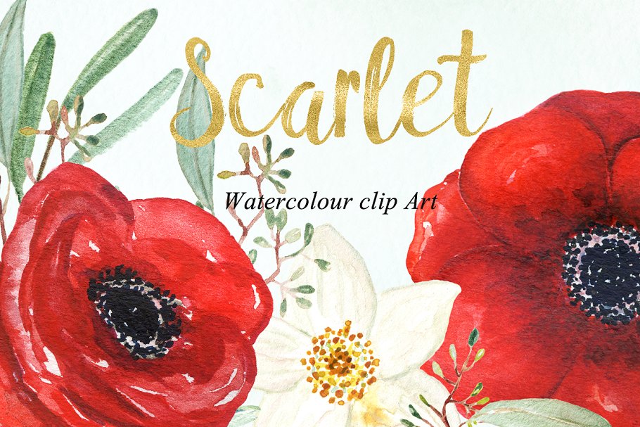 银莲花水彩剪贴画 Anemones scarlet Watercolour clipart插图