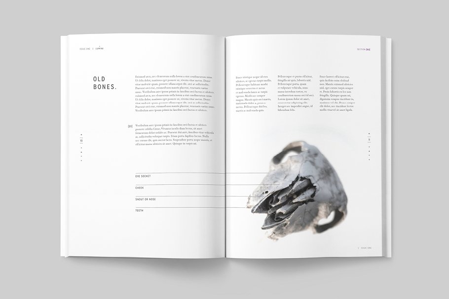 太空大自然主题杂志模板 LUMINA Magazine插图(5)