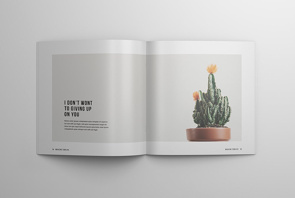 美丽的多用途简约杂志画册模板indd插图(6)