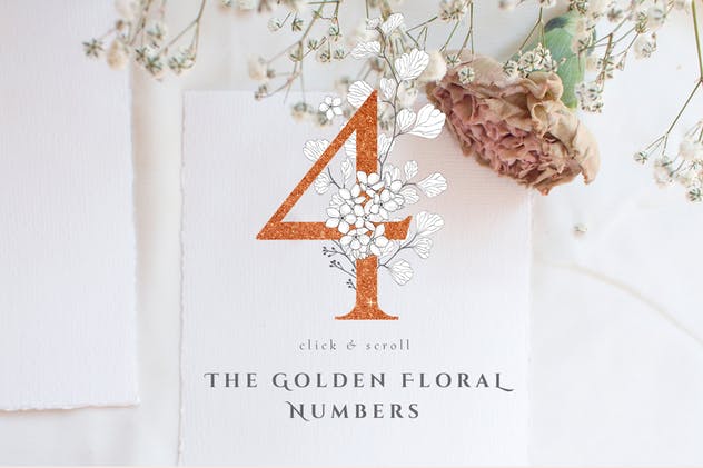 美丽盛开金色花卉字母数字图集 Blooming Gold Floral Letters Numbers插图(8)