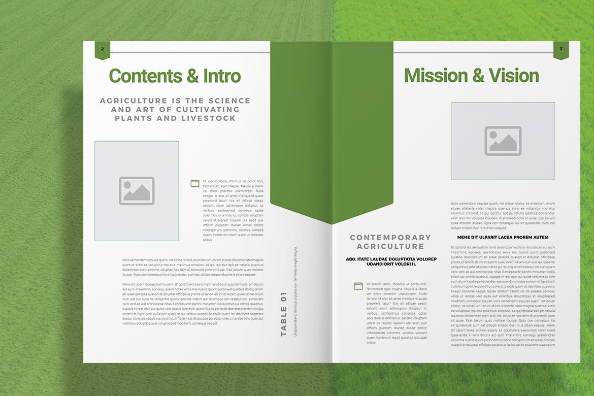 农业农场主题画册设计模板 Agriculture Brochure插图(2)
