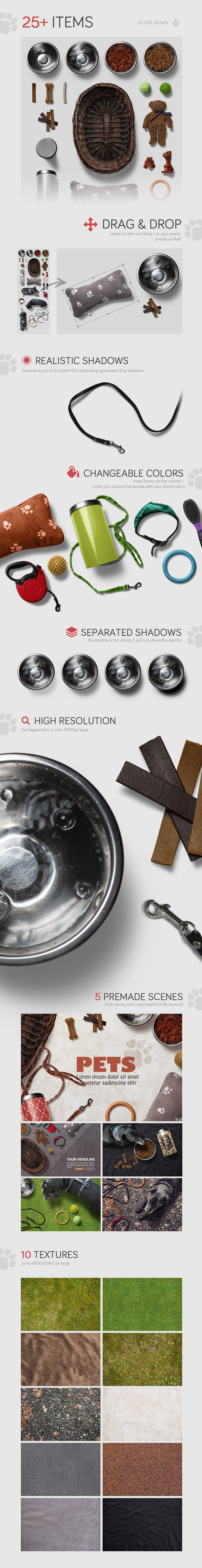 高品质的宠物场景样机下载[psd]插图(1)