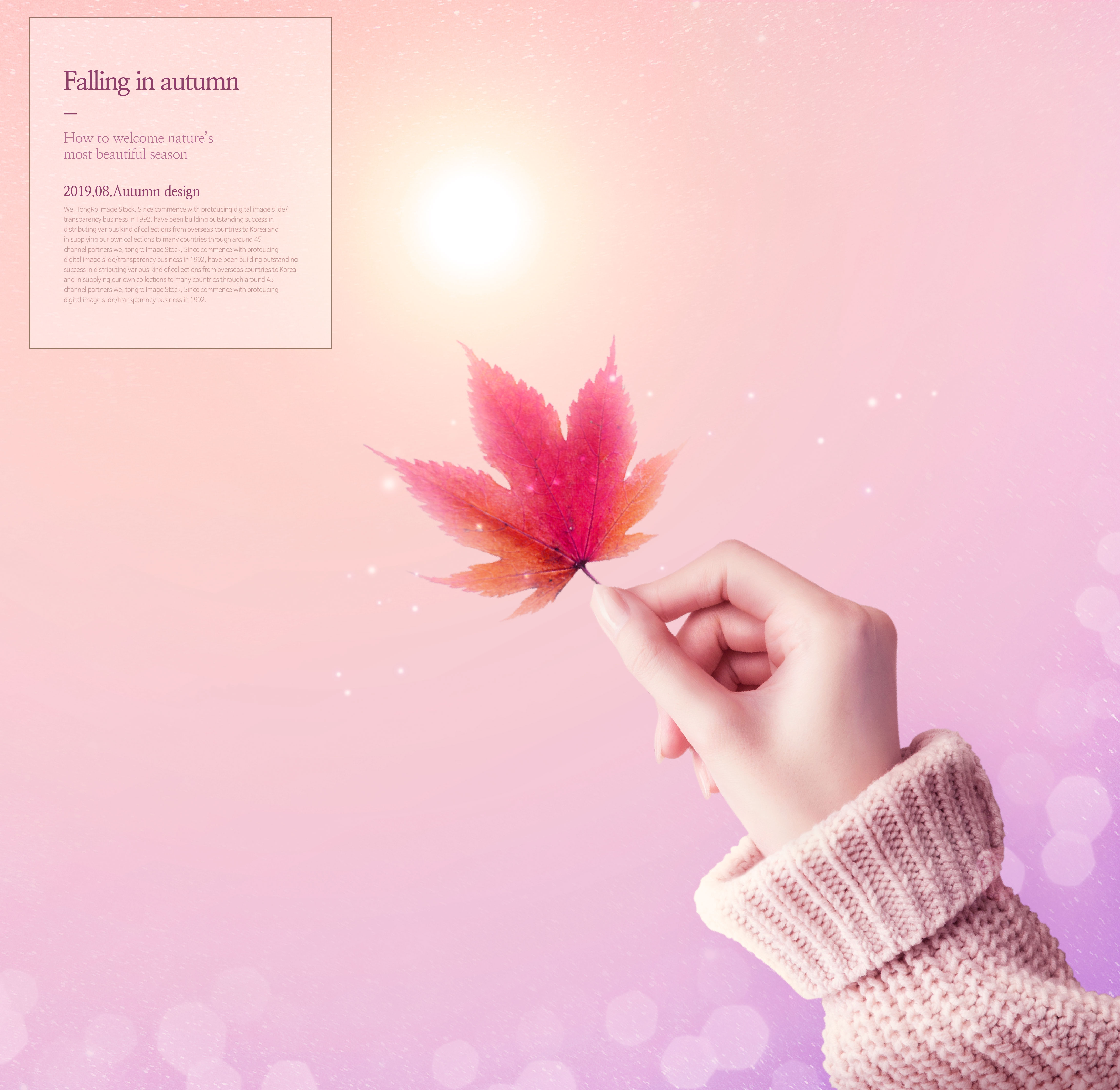 唯美秋天季节海报图片psd素材合集插图(5)