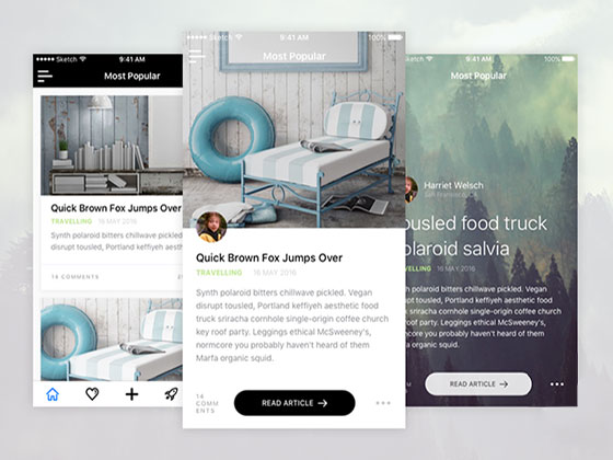 新闻阅读器应用界面素材之家精选sketch素材