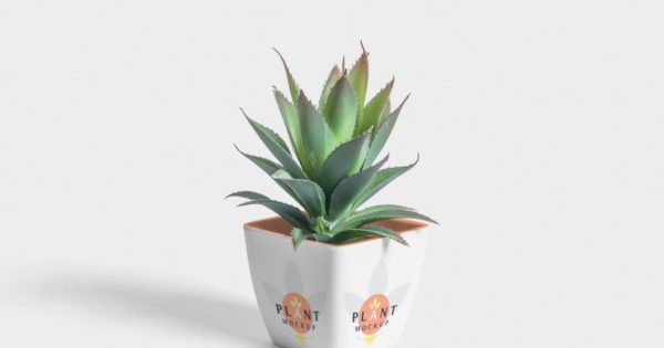 花盆外观图案设计样机模板 Flower Pot Mockup