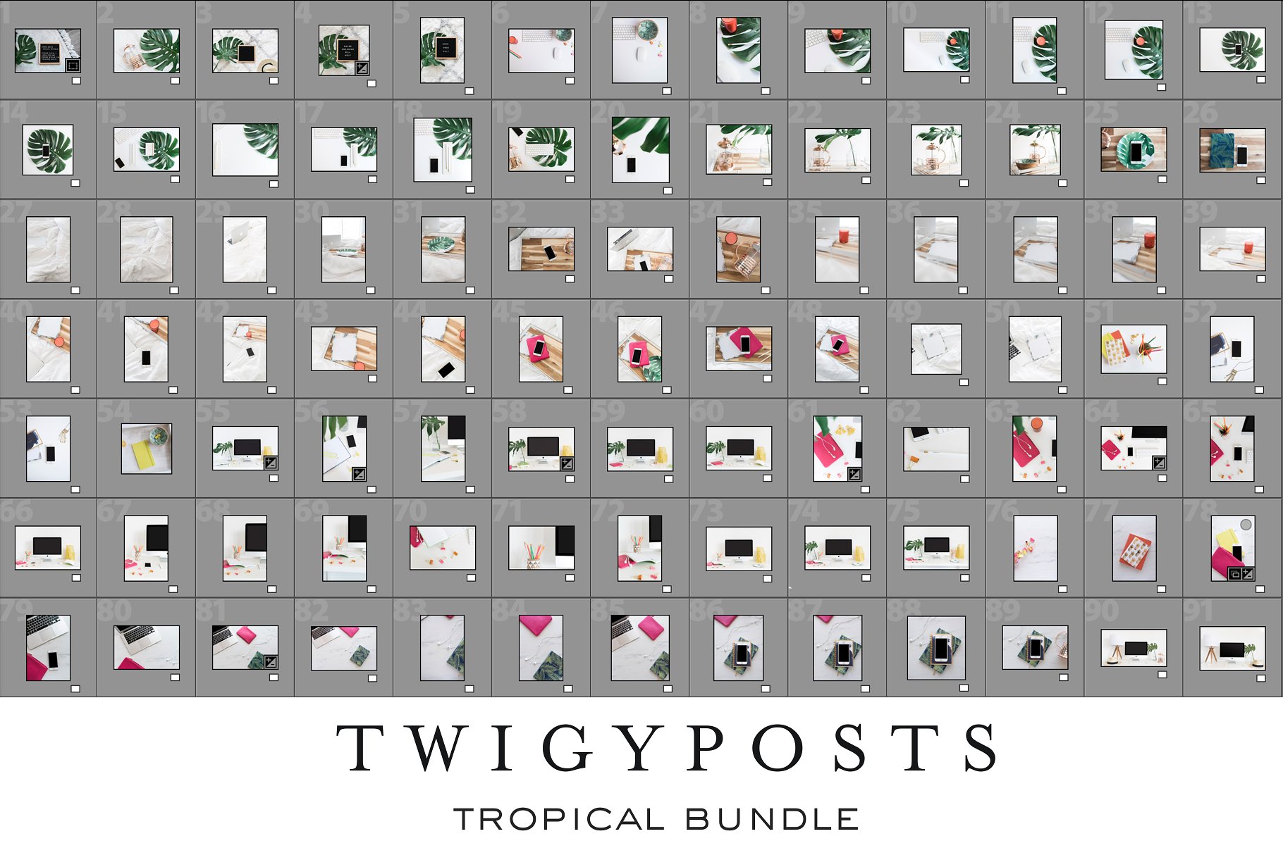 小资格调场景样机合集 MASSIVE Tropical Stock Photo Bundle插图(18)