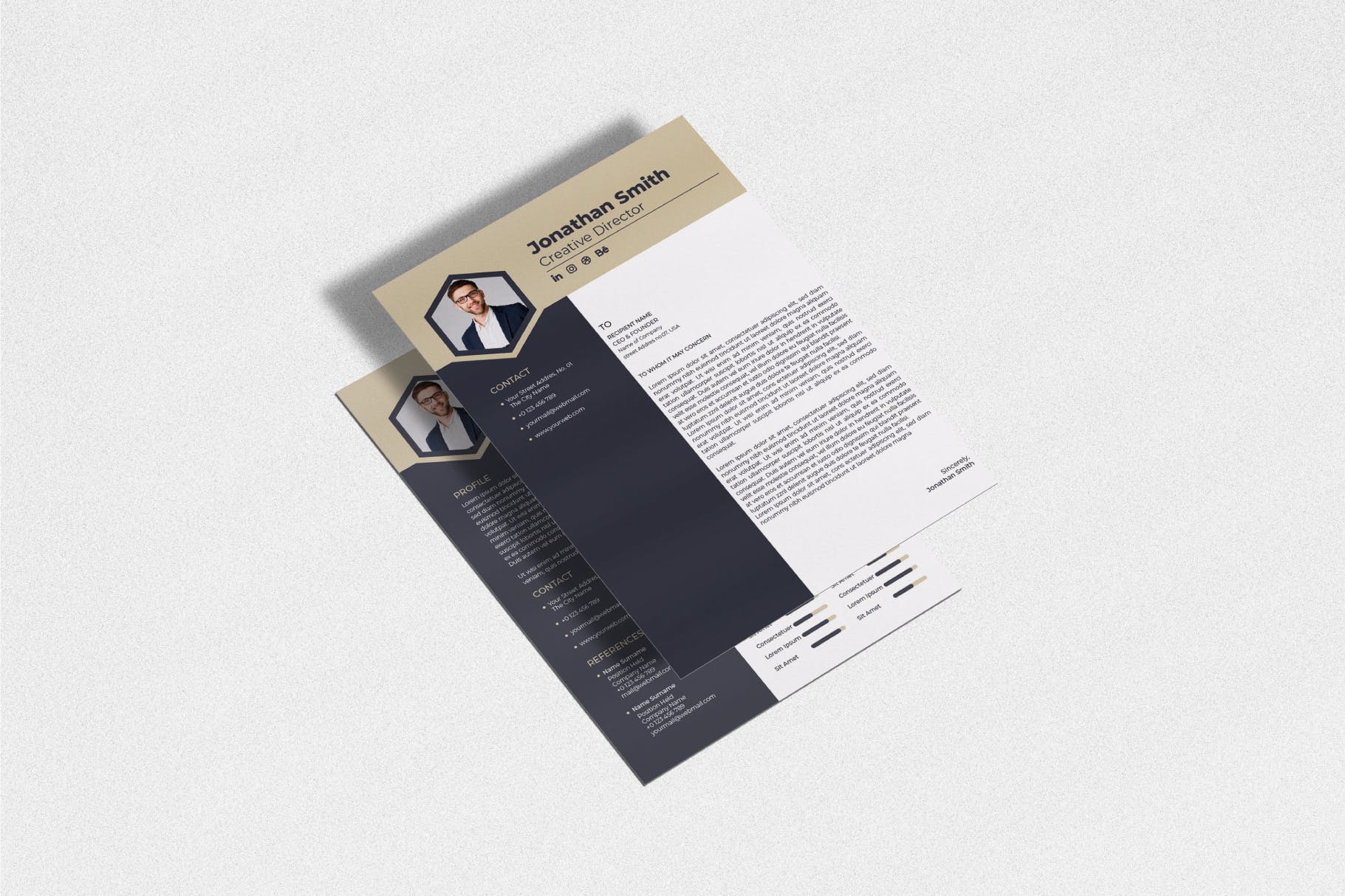 六边形头像个人简历表履历表模板v12 Cv Resume Template.v12插图