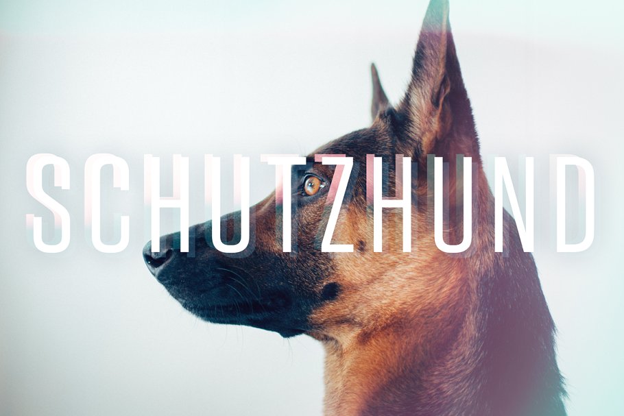 50+胶片炫光和漏光叠层效果图层 50+ Film Burns & Light Leaks插图(4)