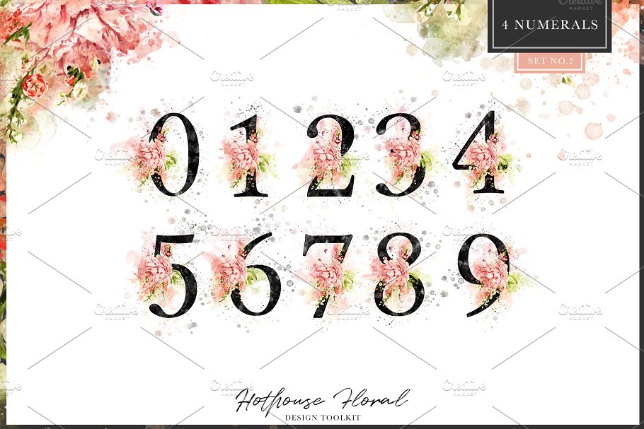 数码绘制温室花卉设计素材包(独立花卉元素&花式字母数字) Hothouse Floral Design ToolKit插图(10)
