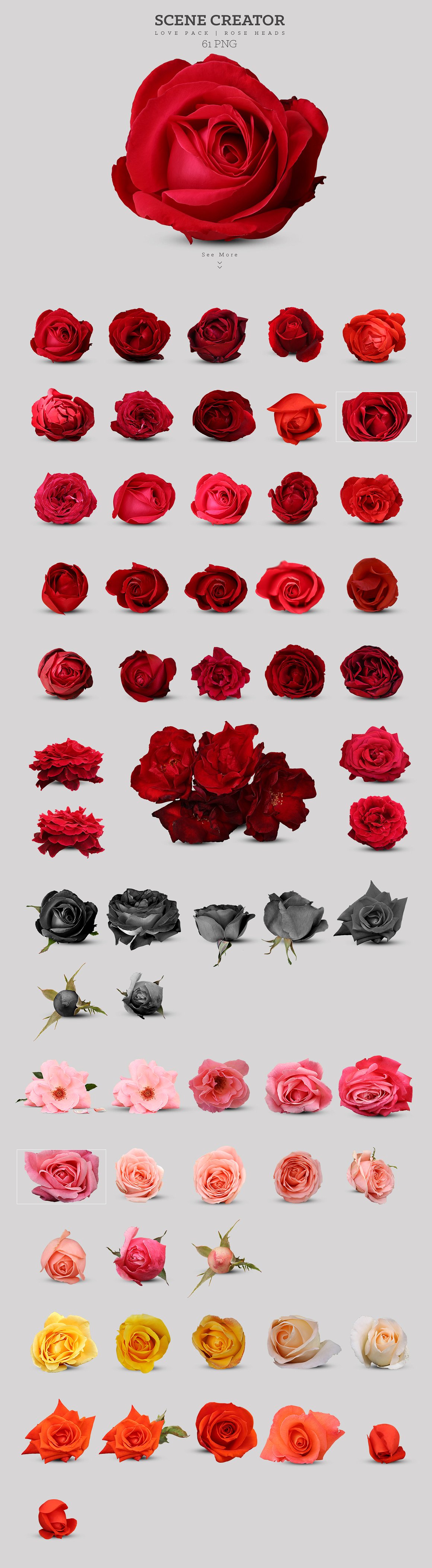 浪漫爱情(情人节)玫瑰花素材大合集1.6G[psd,eps,png]插图(11)