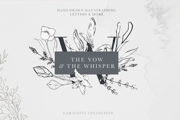 优雅风格手绘花卉插图&amp;字母素材 Floral Alphabet &amp; Illustrations