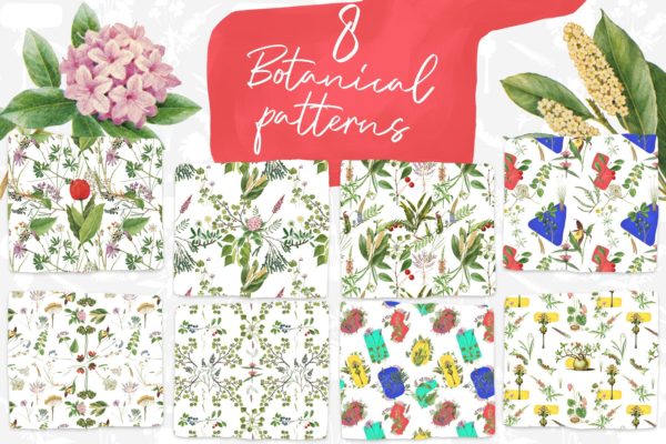 8款复古植物手绘图案背景素材库精选 8 Vintage Botanical Patterns