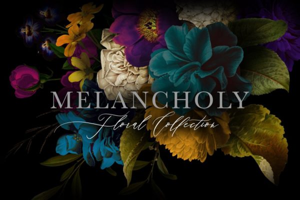 忧郁格调花卉插画合集 Melancholy Floral Collection