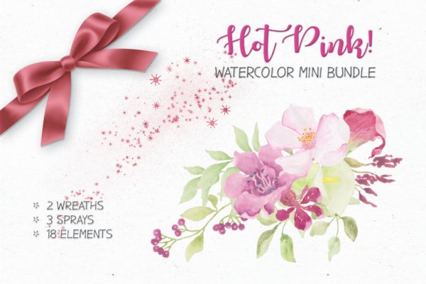 粉色手绘水彩花卉剪贴画素材库精选PNG素材 Watercolor Mini Bundle in Hot Pink